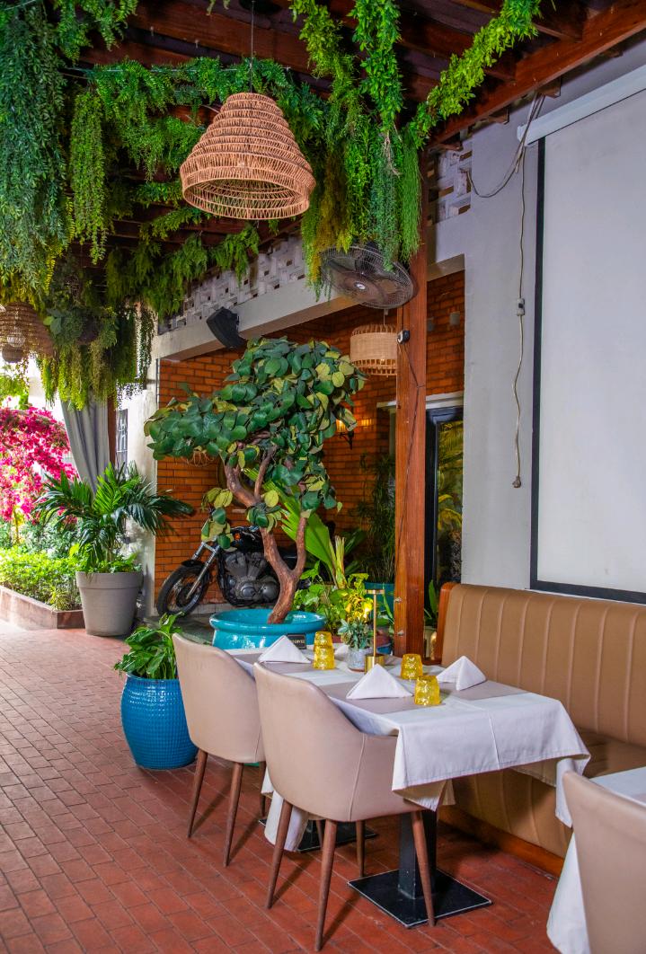 La grande terrasse lounge et sa végétation