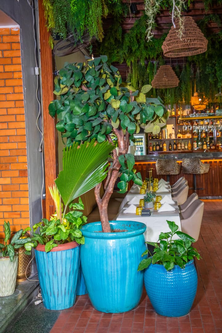 Le trio de pots bleus devant le bar