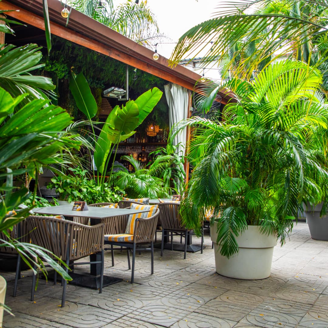 Les tables de la terrasse au milieu des palmiers
